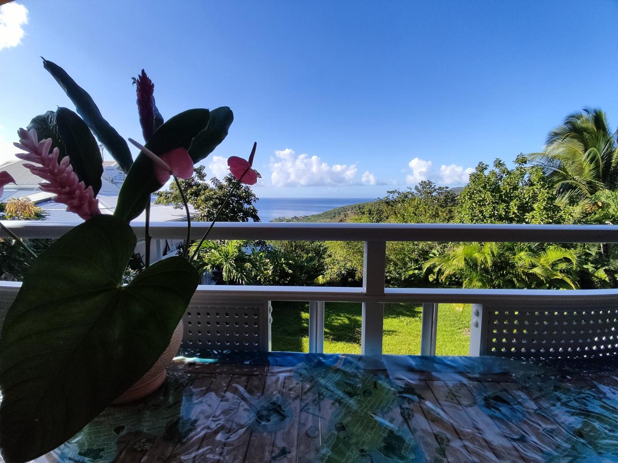 Bungalow With Sea View In Deshaies Exteriör bild