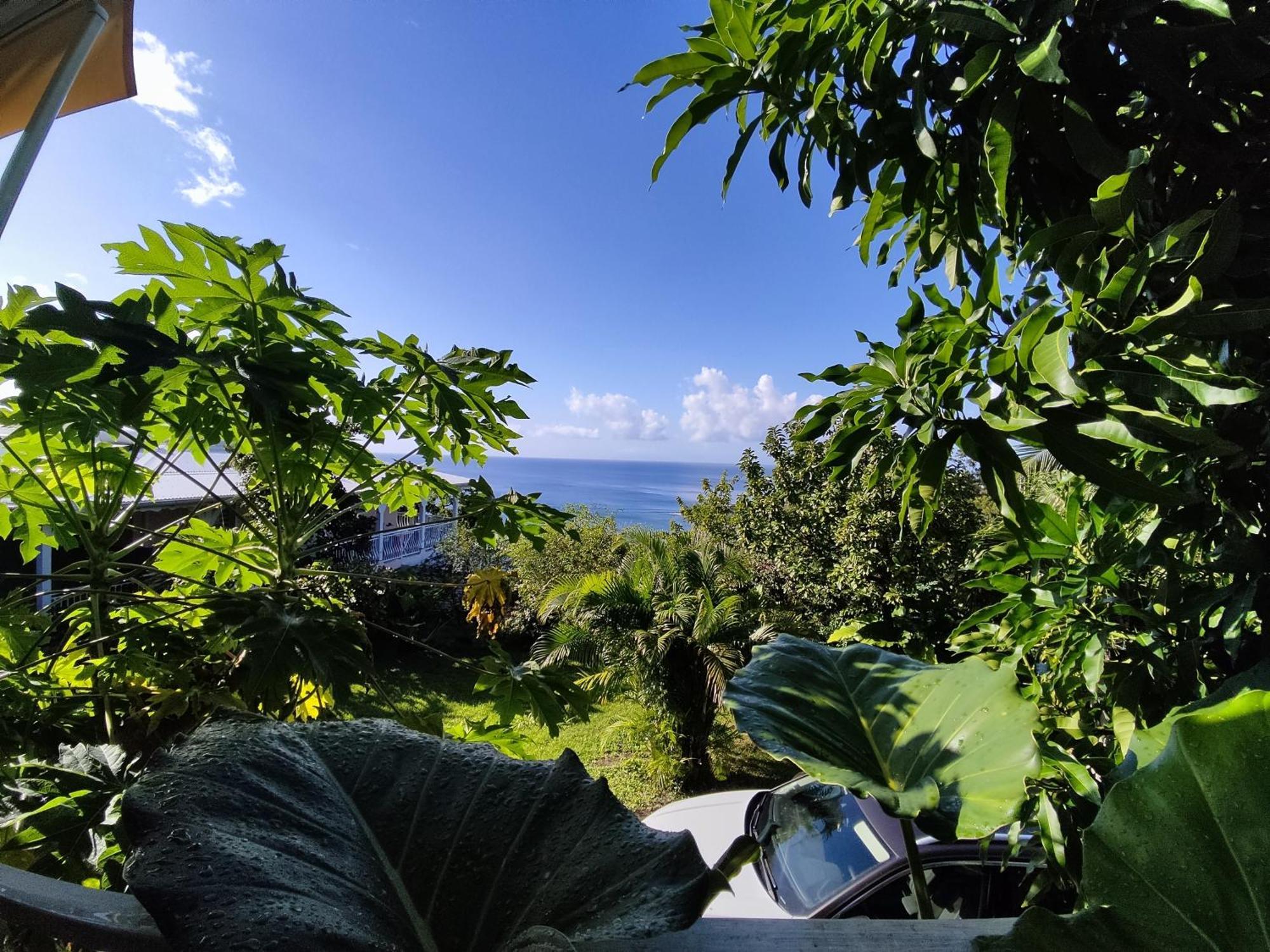 Bungalow With Sea View In Deshaies Rum bild